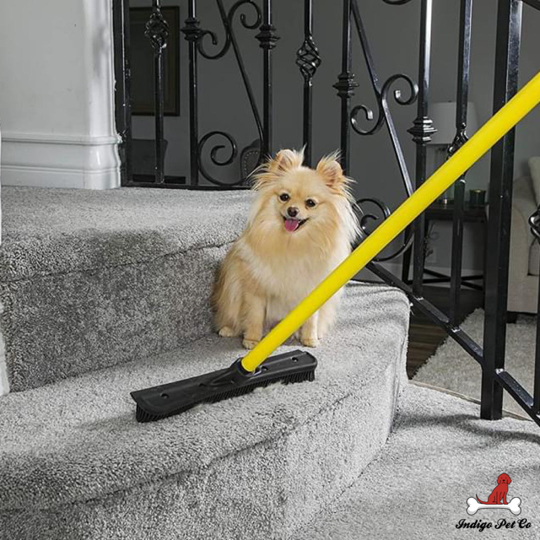 Pet Hair Removal Broom